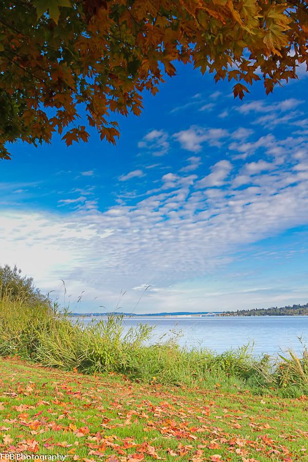 IMAGE: http://i568.photobucket.com/albums/ss130/rutlian/IMG_9854.jpg