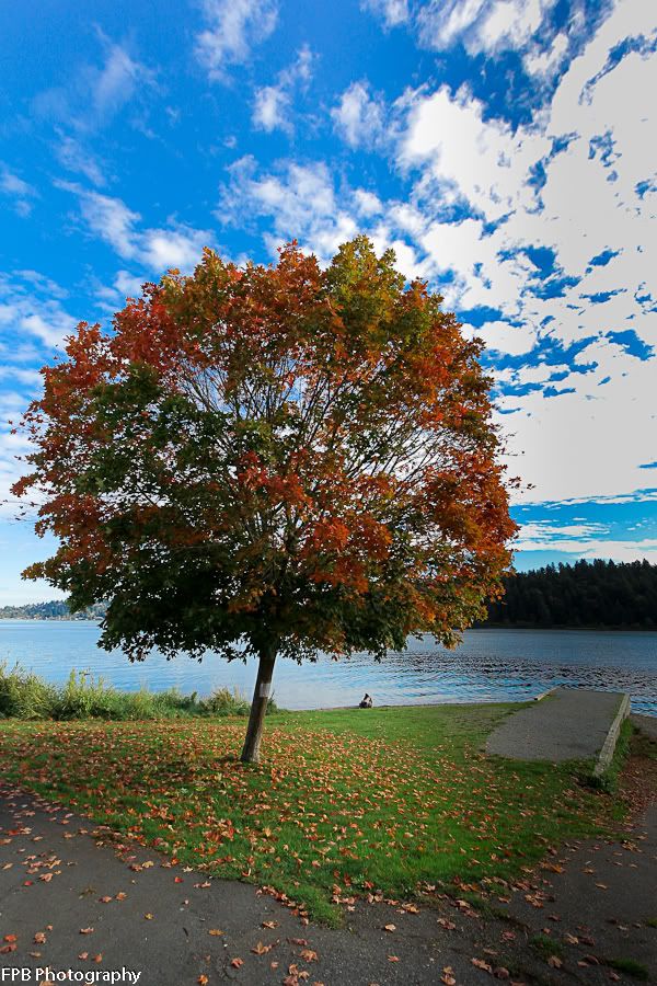 IMAGE: http://i568.photobucket.com/albums/ss130/rutlian/IMG_9855.jpg