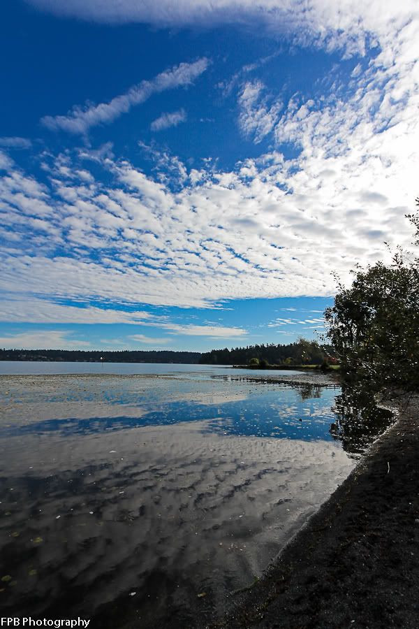 IMAGE: http://i568.photobucket.com/albums/ss130/rutlian/IMG_9857.jpg