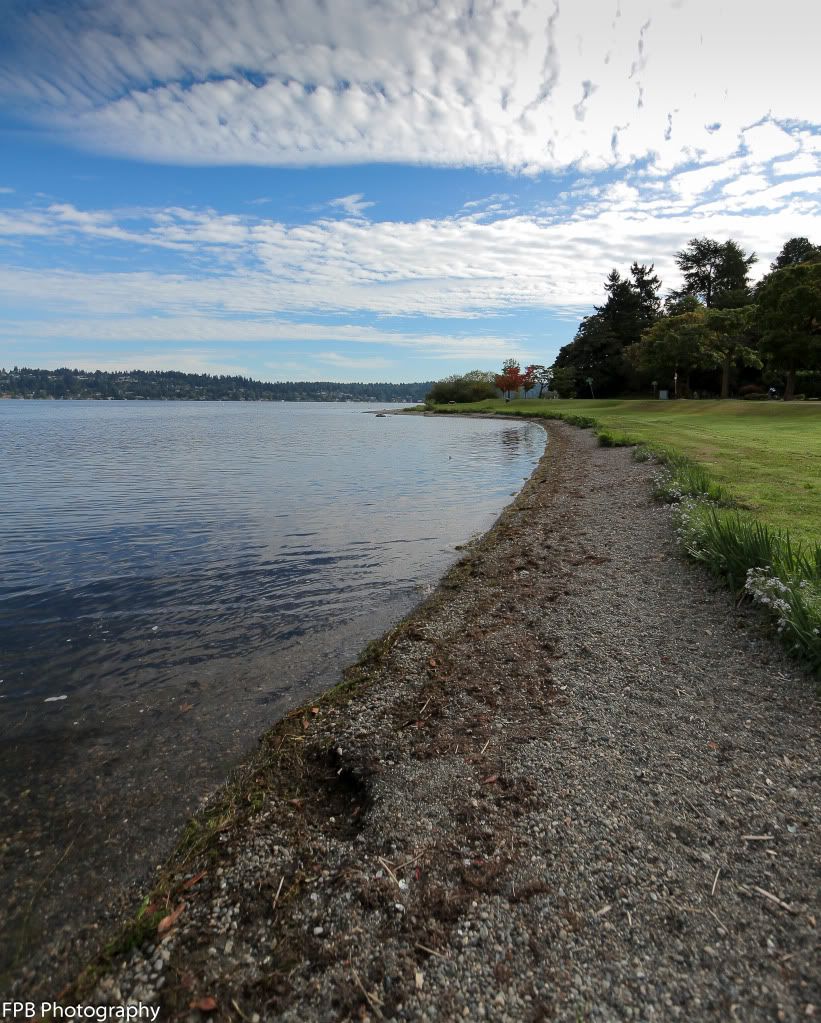 IMAGE: http://i568.photobucket.com/albums/ss130/rutlian/IMG_9863.jpg