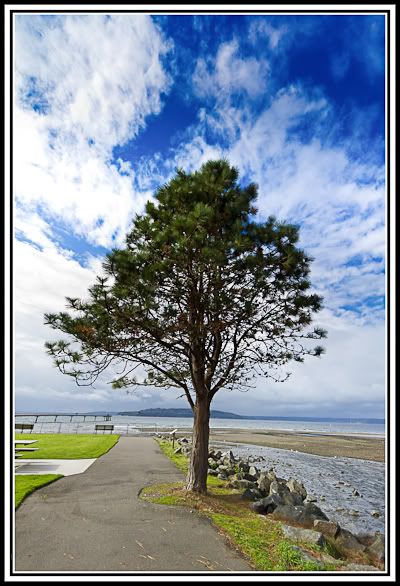 IMAGE: http://i568.photobucket.com/albums/ss130/rutlian/IMG_9952-Edit-2.jpg