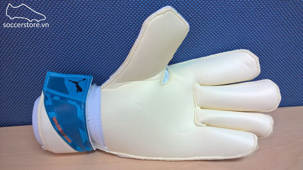 Puma Evopower Grip 2 GC White- Hawaiian- Black GK Gloves