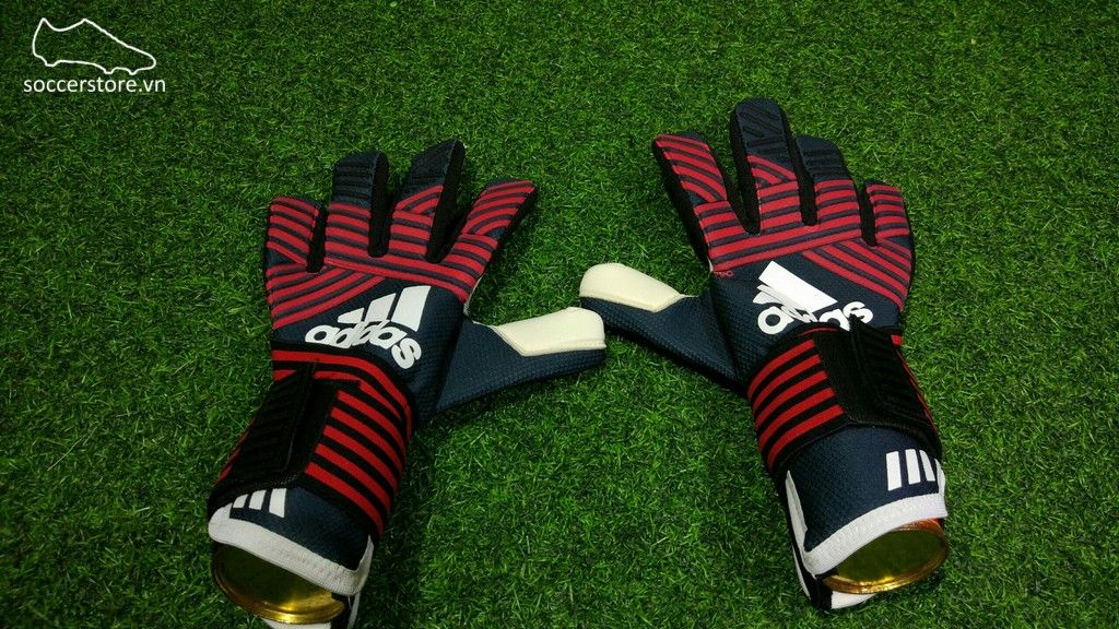 Adidas Ace Transition Pro Manuel Neuer- Black/ True Red GK Gloves BS1550