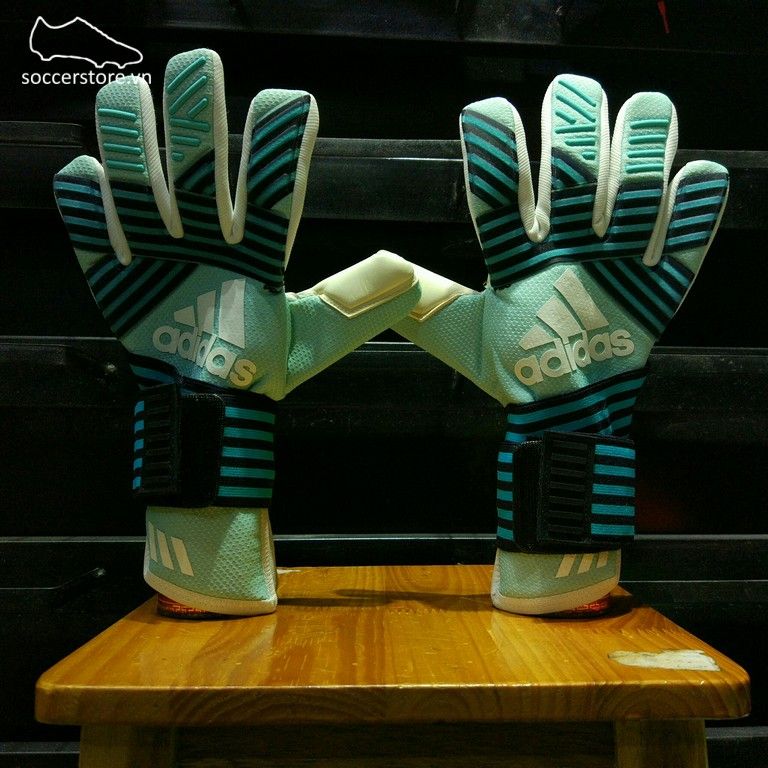 Adidas Ace Transition Pro- Energy Aqua/ Energy Blue/ Legend Ink/ Trace Blue GK Gloves BS4116