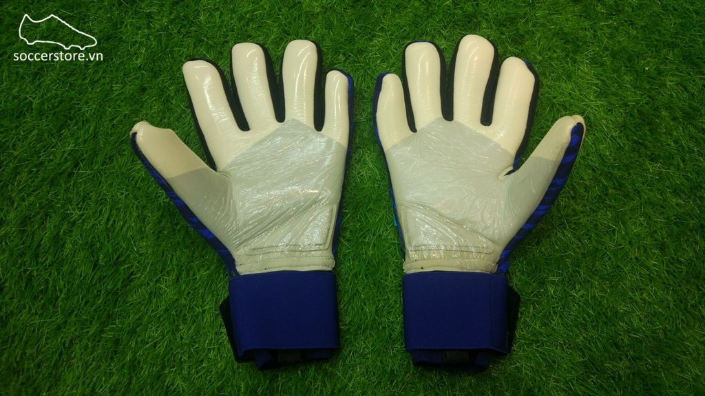 Adidas Predator Pro- Hi-res Blue/ Unity Ink CF1353