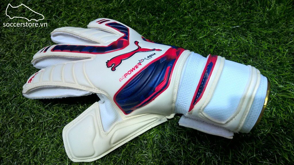 Puma Evopower Grip 2 Aqua- White/ Peacoat/ Fluo Pink GK Gloves