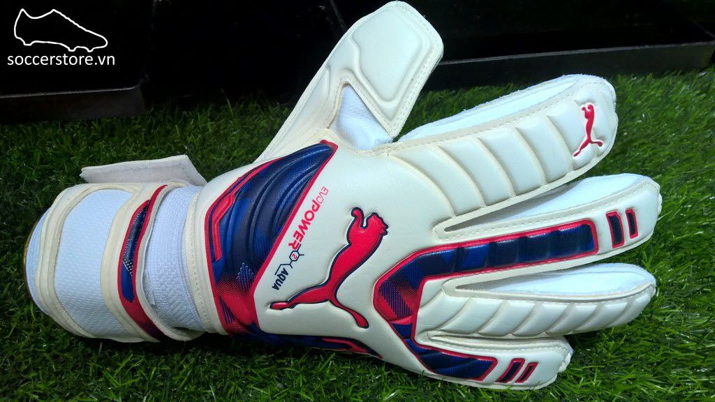 Puma Evopower Grip 2 Aqua- White/ Peacoat/ Fluo Pink GK Gloves